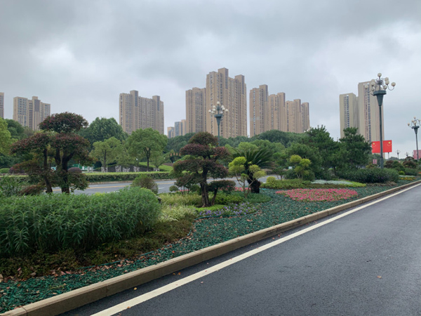 微信图片_20230928150201.jpg 微信图片_20230928150201.jpg