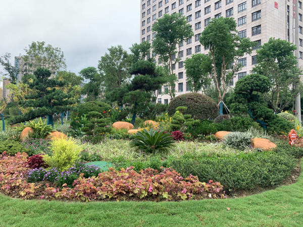 微信图片_20230928150213.jpg 微信图片_20230928150213.jpg