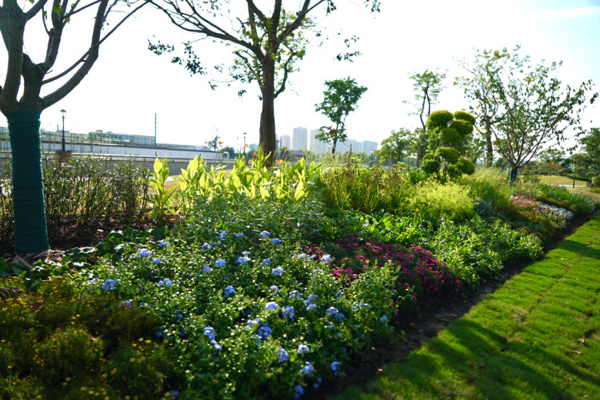 微信图片_20230928150218.jpg 微信图片_20230928150218.jpg