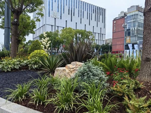 微信图片_20230928150224.jpg 微信图片_20230928150224.jpg